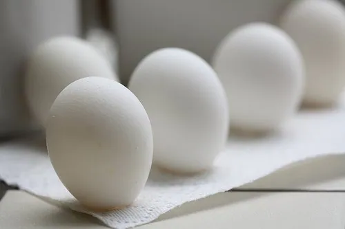 Got Eggs? How Our Gut Bacteria Can Use Them to Accelerate Cancer Growth