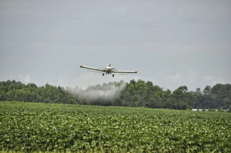 Brain-damaging Neurotoxic Pesticide Found in Hundreds of Foods: EPA Allowed