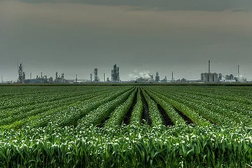 Why The Food Industry Wants the Public Confused About Nutrition