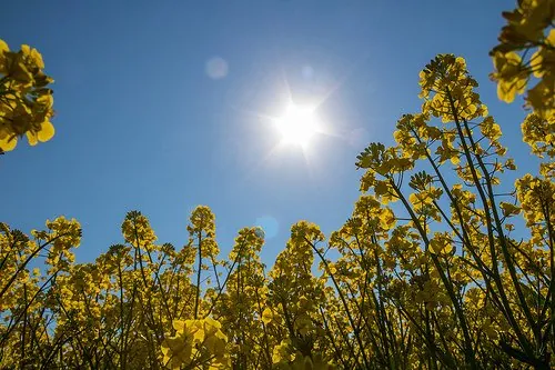 More Sun Is GOOD For You, 16 Reasons to Get More Sun and 4 Safe Ways to Do It
