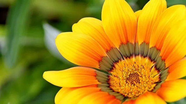VIDEO: What My Mom Did to Heal Breast Cancer Naturally