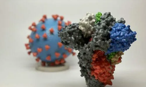 Natural Immunity After COVID Lasts For At Least 18 Months: Study