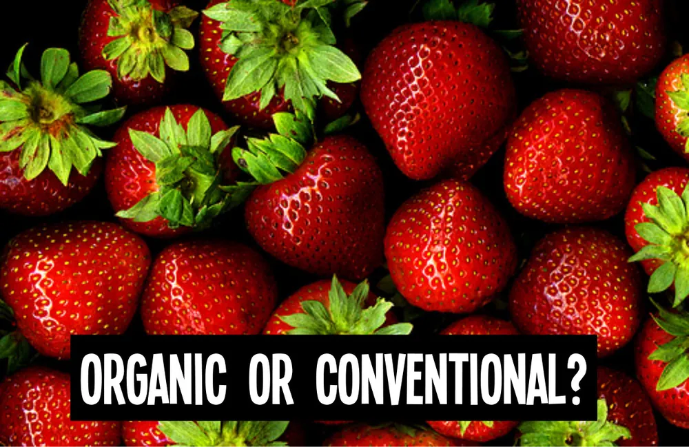 Why You Should Choose Organic Strawberries Over Conventional