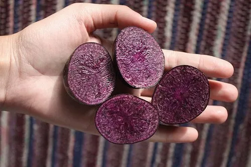 Study: Purple Potatoes May Slash Your Risk of Colon Cancer and IBD