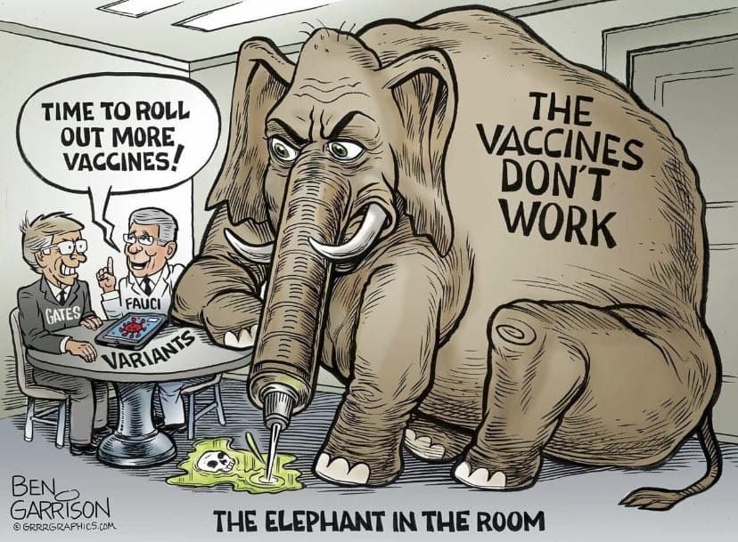 COVID Vaccines: The Elephant In The Room