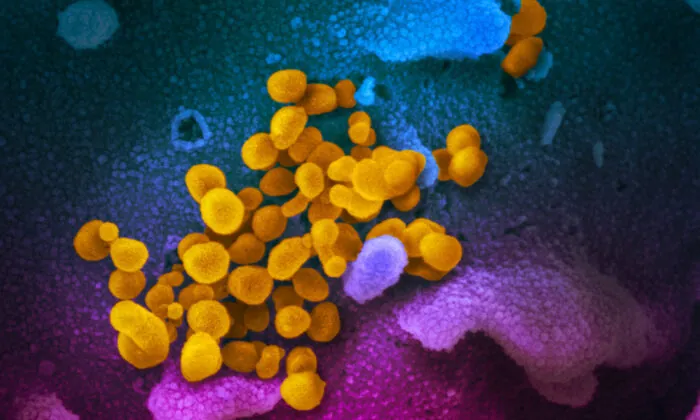 Natural Immunity to COVID-19 Detected at 20 Months After Infection: Study