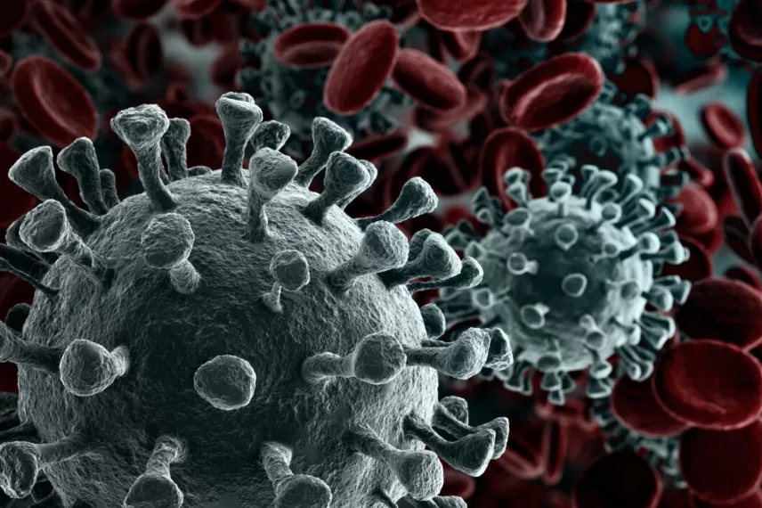 Statin Drugs Laid the Groundwork for COVID-19