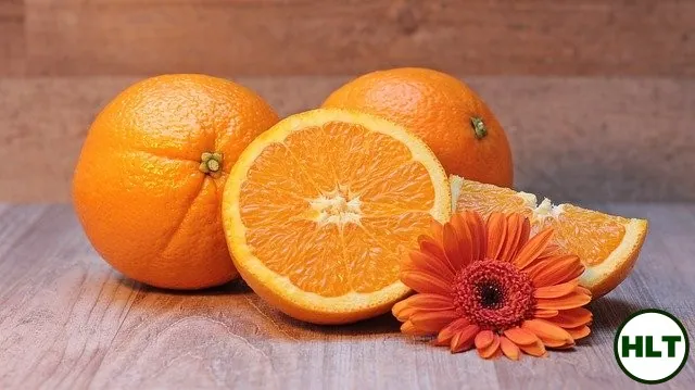 Vitamin C as a Consideration for Pneumonia, Lung Infections, and the Novel Coronavirus