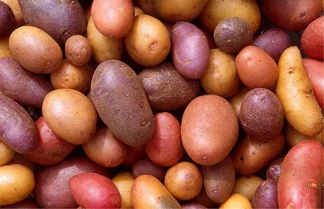 Do You Know How to Store Potatoes to Avoid This?