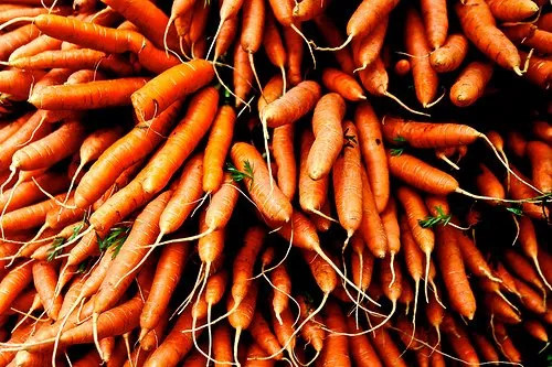 Why You Should Eat (and Grow) Carrots