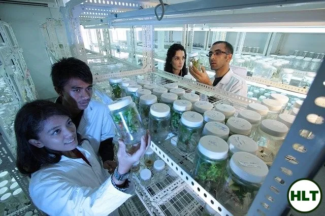 Virus Researchers Uncover New Evidence Implying COVID-19 Was Created in a Lab