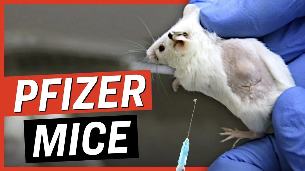 FDA Approved Pfizer's New Booster With Data From Only 8 Mice + Results Going Negative