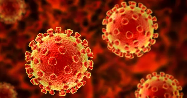 WHO Admits: No Direct Evidence Masks Prevent Viral Infection