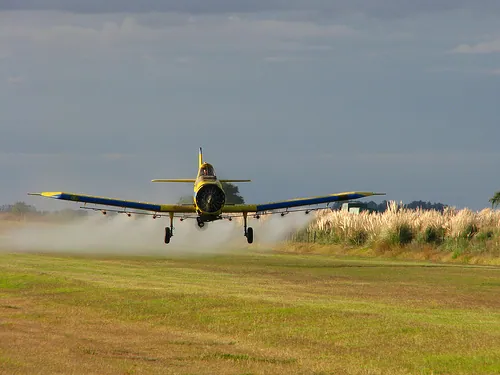 Study: Pesticides Are Much More Neurotoxic Than Previously Reported