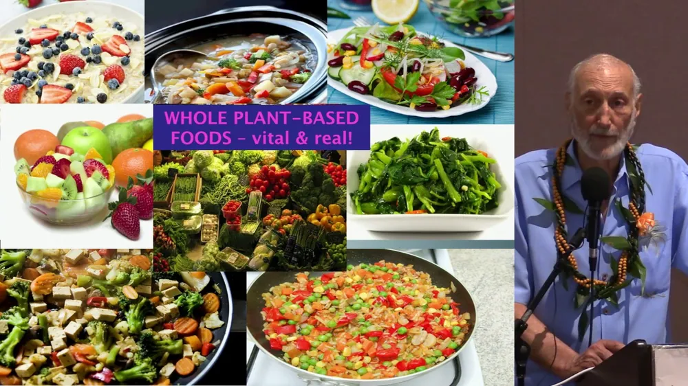 Video: What I Wish I Had Learned About Nutrition In Medical School