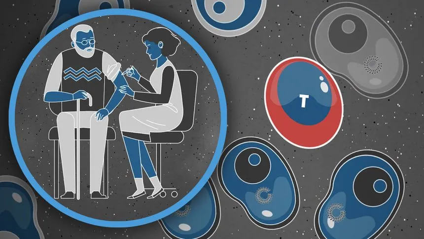 Covid-19 Cases Rise in Parts of U.S. With High Vaccination Rates