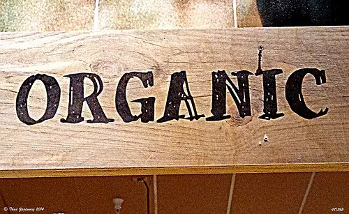 First All-Organic Fast Food Restaurant Expanding Rapidly by Avoiding GMOs, Pesticides and Antibiotics