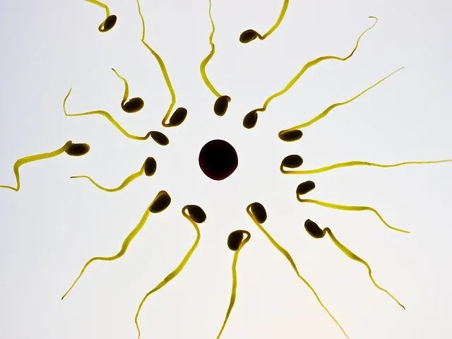 Chemicals In Food And Personal Care Products Making Humanity Infertile