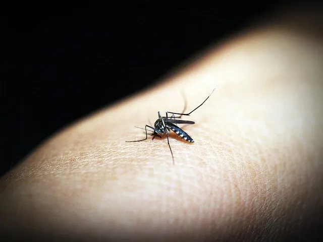 U of M Study Links Anti-Zika spray to Neurological Damage in Children
