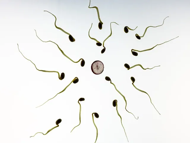 Sperm Counts In Western Men Plunge To Record Lows, Scientists Blame Chemicals In Everyday Products For Crisis