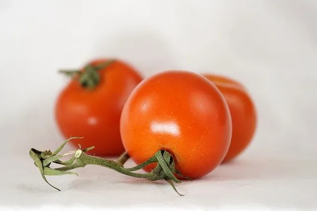 Study: Tomatoes Found to Stop Stomach Cancer